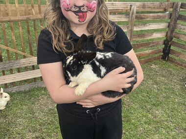 Velikonoce 8 | Velikonoční hrátky se zvířátky 5.4.2026