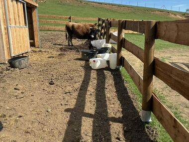 Velikonoce 14 | Velikonoční hrátky se zvířátky 5.4.2026