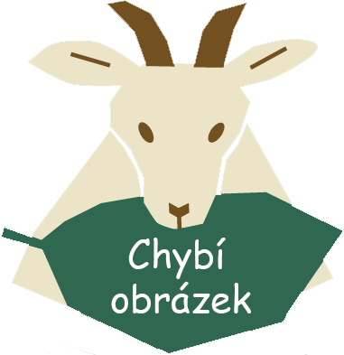 Balkánský sýr